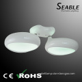 LED Glass Fiber Reinforced Plastics Surface Mounted Modern Fancy Ceiling light